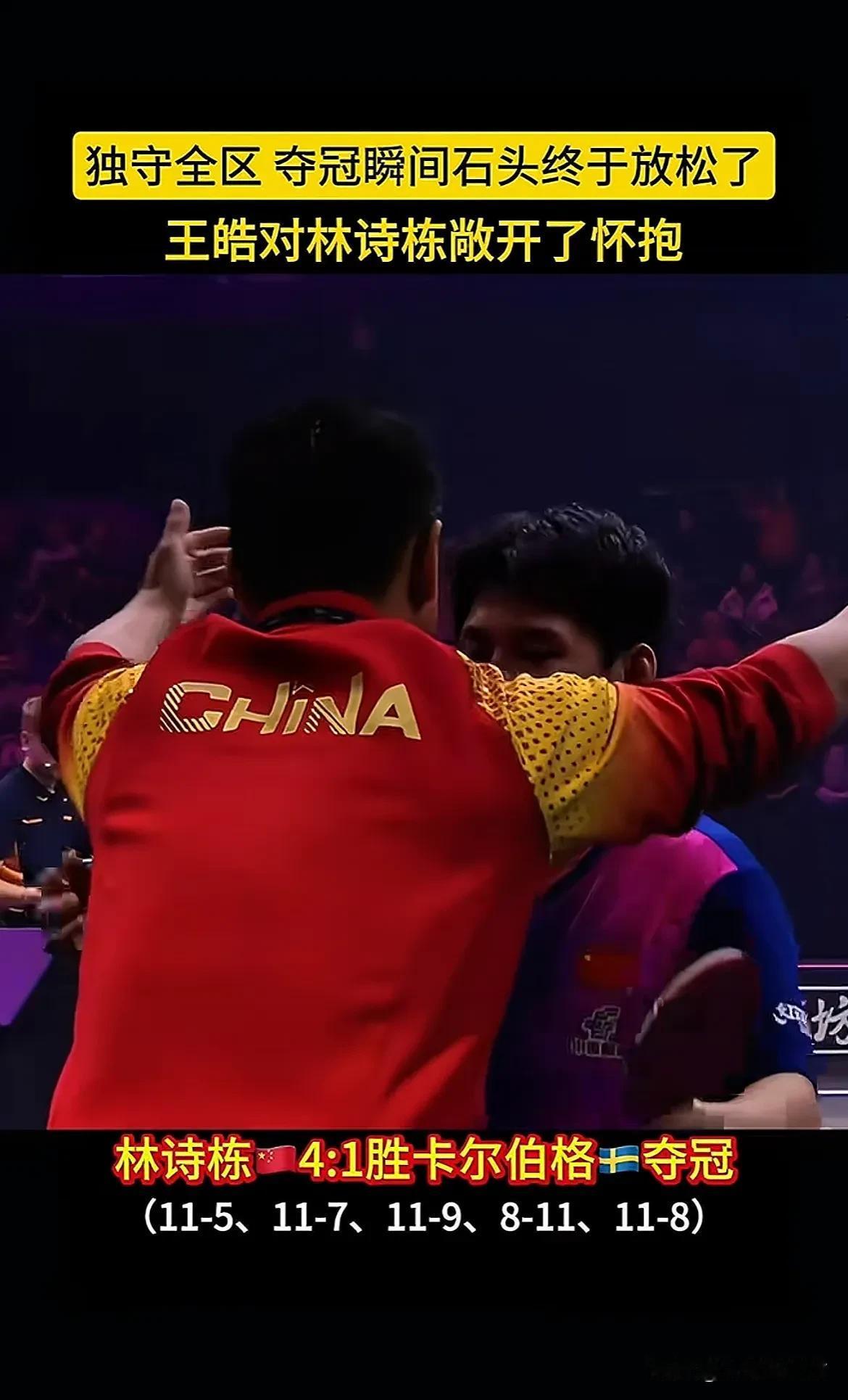 日本队翻盘瑞典队，王皓状态火热的简单介绍