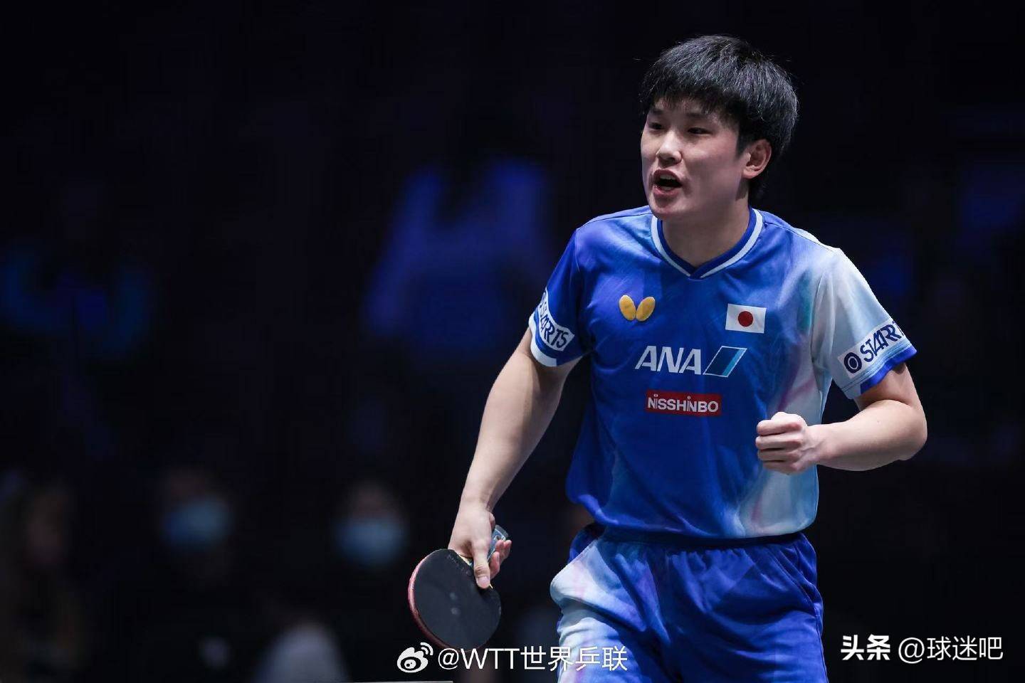 英格兰队翻盘法国队,张本智和关键制胜的简单介绍 英格兰队翻盘法国队,张本智和关键制胜的简单介绍