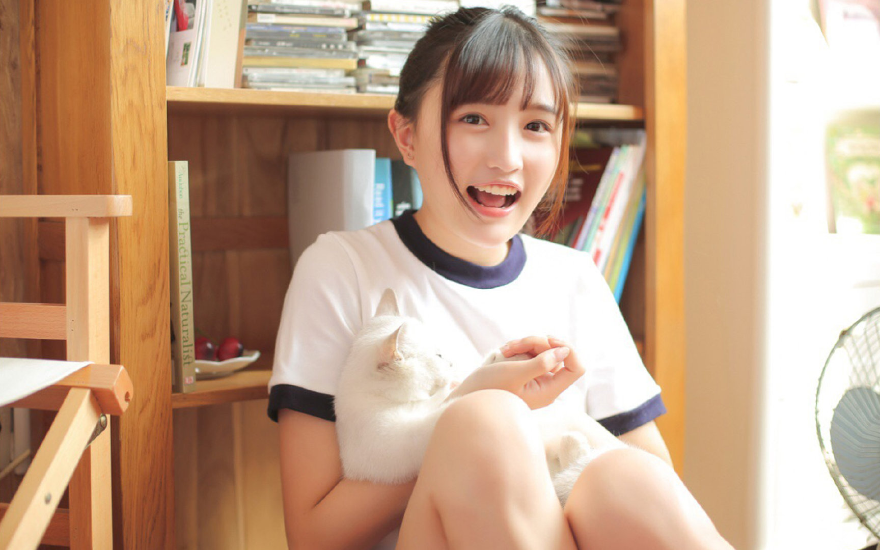 奥本山宫殿的轮回，魔术洪流吞没旧日荣光，乔治终成破壁人