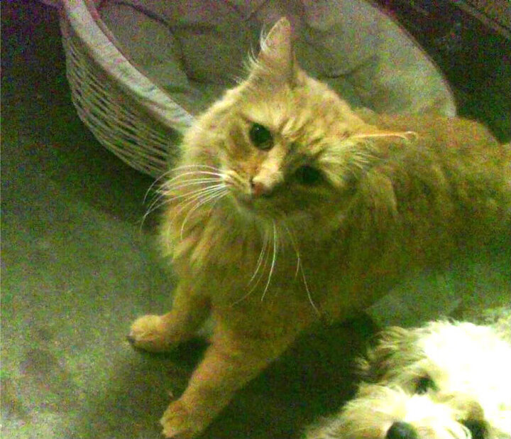 扩展思维后的标题