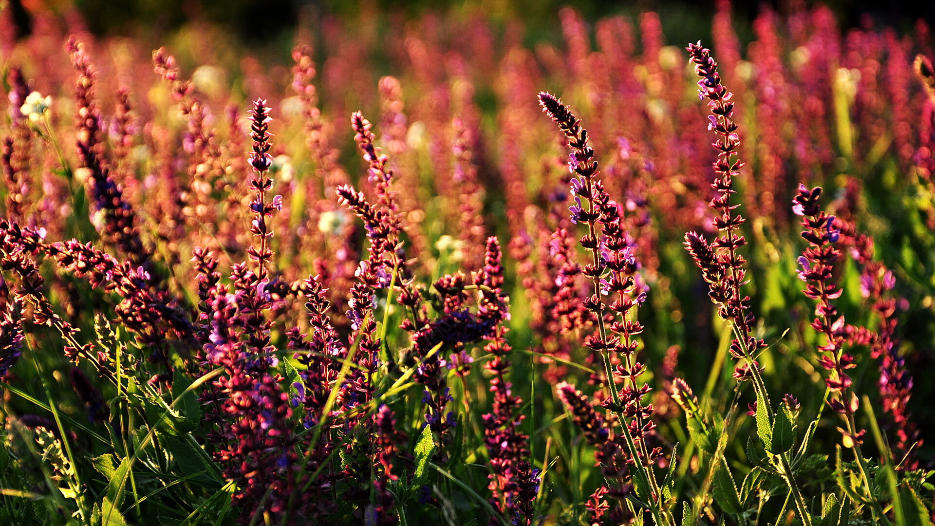 贝尔纳维球场的新定律,巴尔韦德如何用教科书级表现重写西班牙德比公式