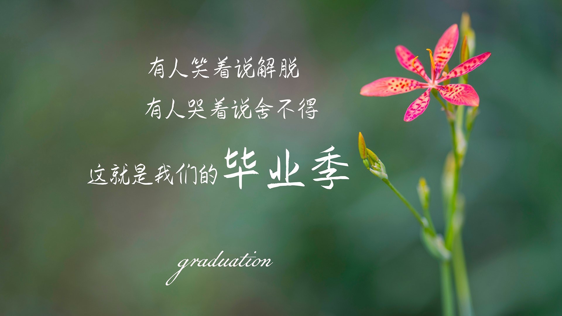 暗夜惊雷!小贾伦惊艳四座,吉林队爆冷击落老鹰