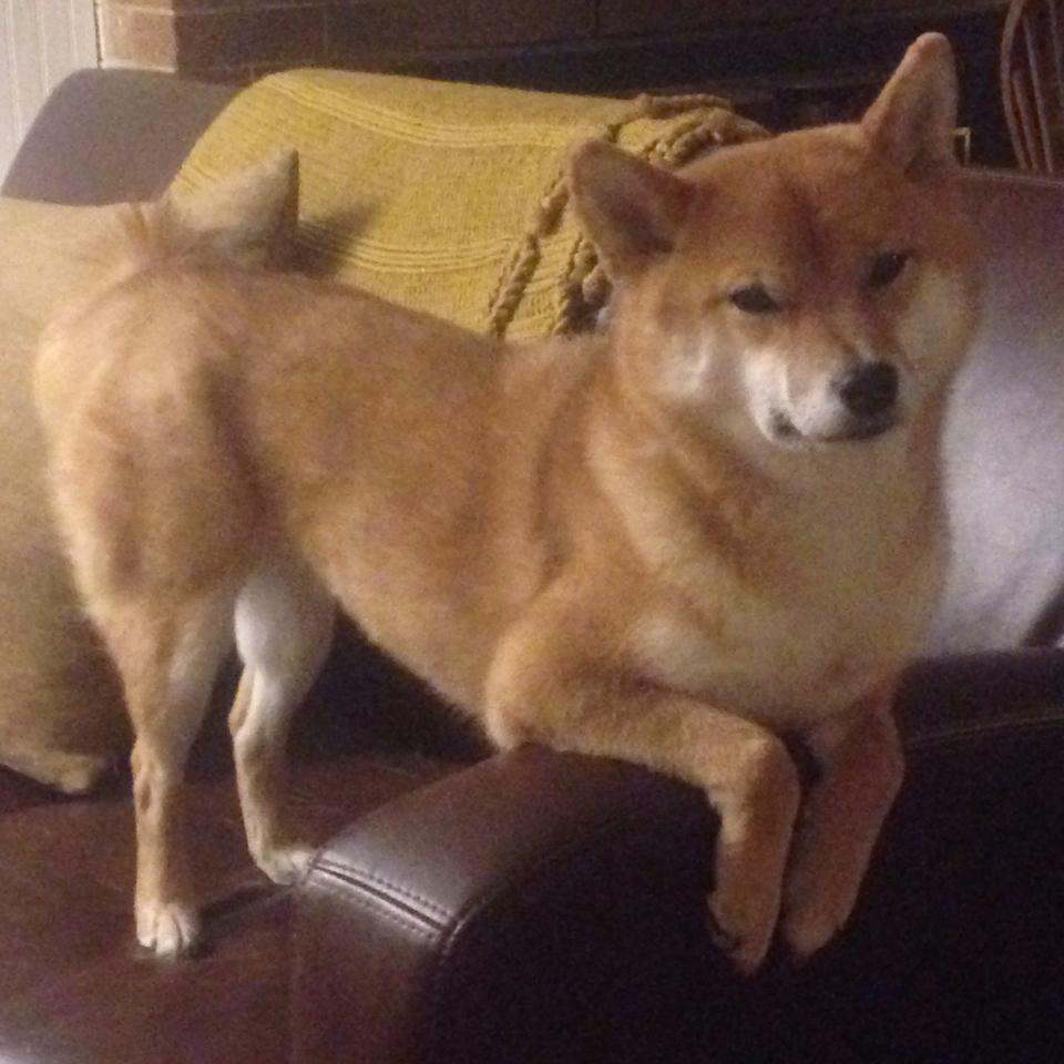 绿茵交响诗,当阿克在争冠之夜指挥全队节奏