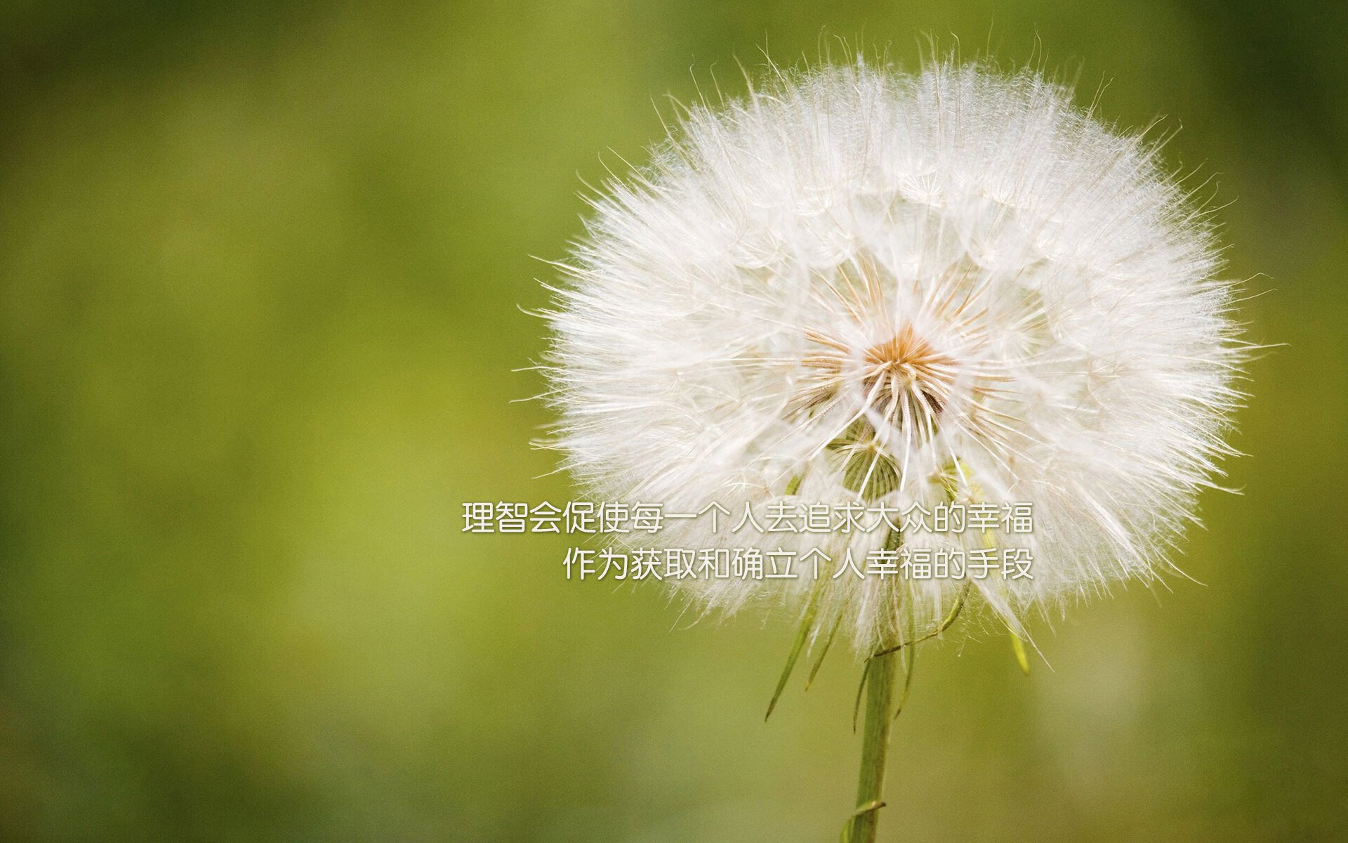 从替补到英雄，奥利维耶在季后赛之夜证明自己