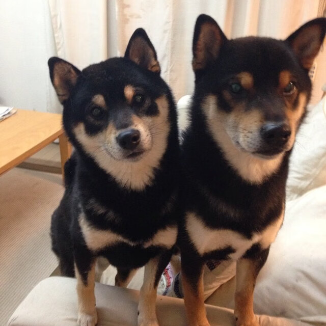 奇迹的对角线,当北京队打穿公牛,篮球宇宙的一次必然偶遇