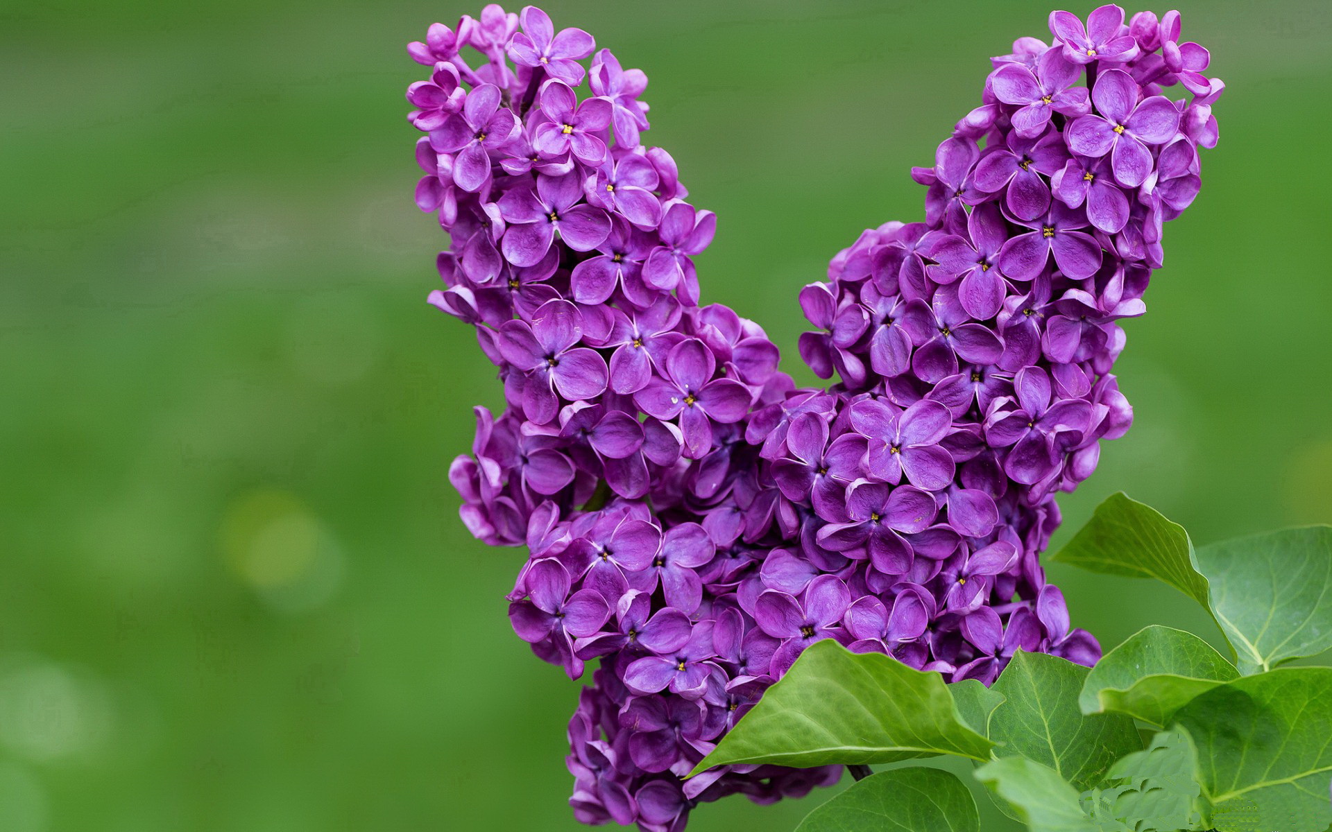 孤星与冰川的碰撞，杜兰特53分风暴，独行侠强行冰封开拓者逆袭之路