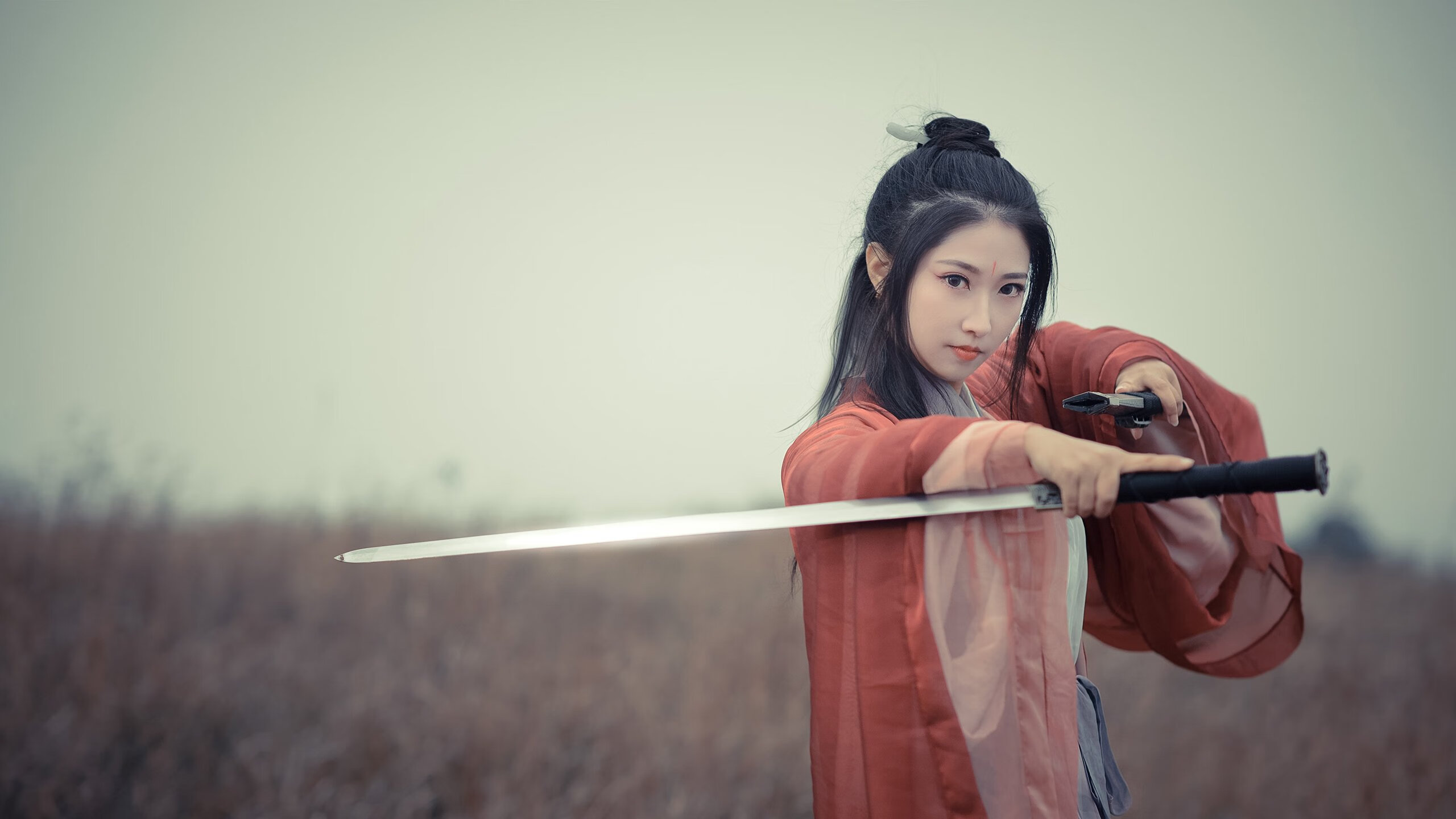 跨越次元的篮球火,保罗高维操控,广厦奇袭收割灰熊军团