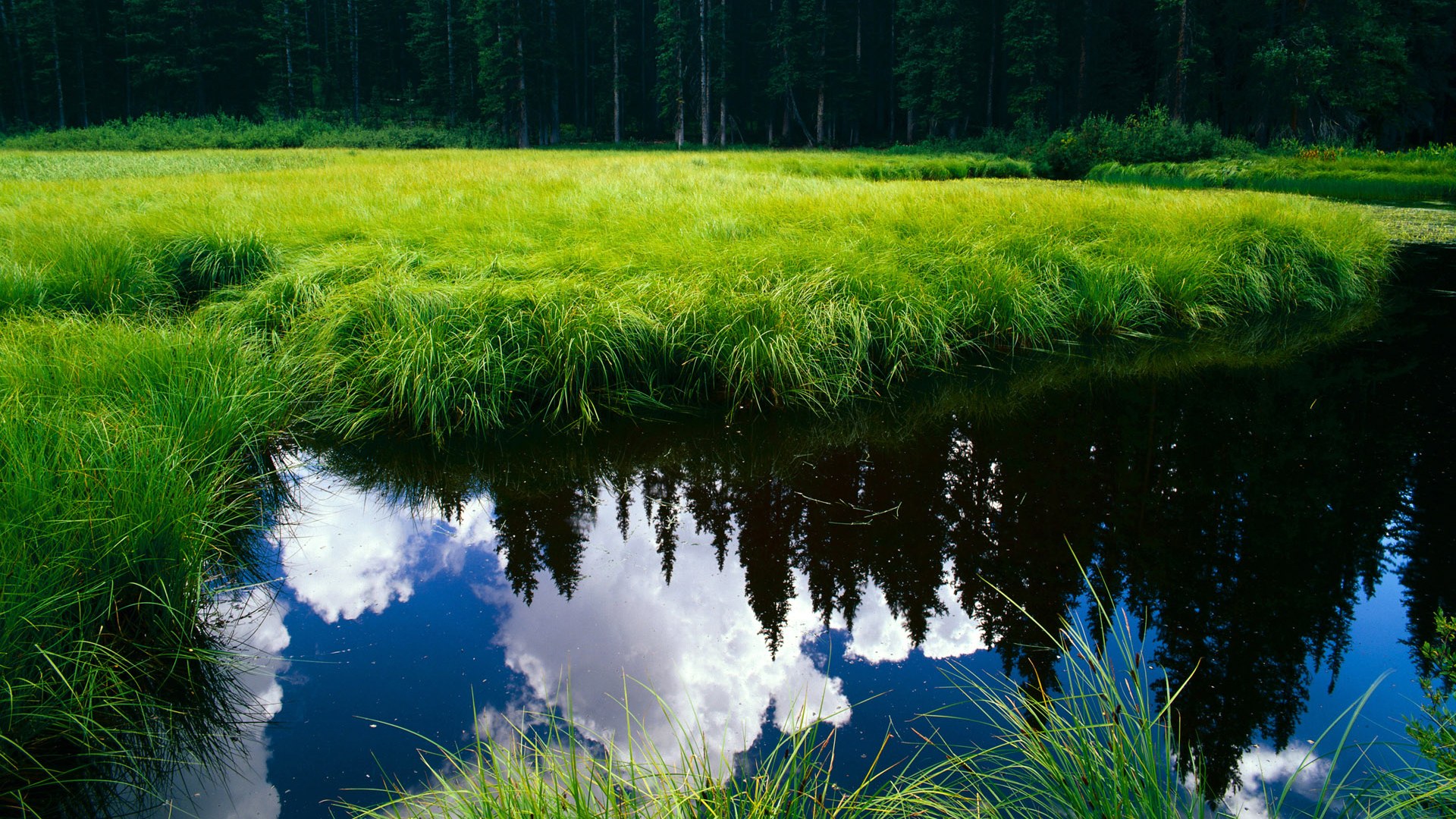 青蜂侠暴风雪夜袭天山!霍勒迪末节19分导演史诗级逆转