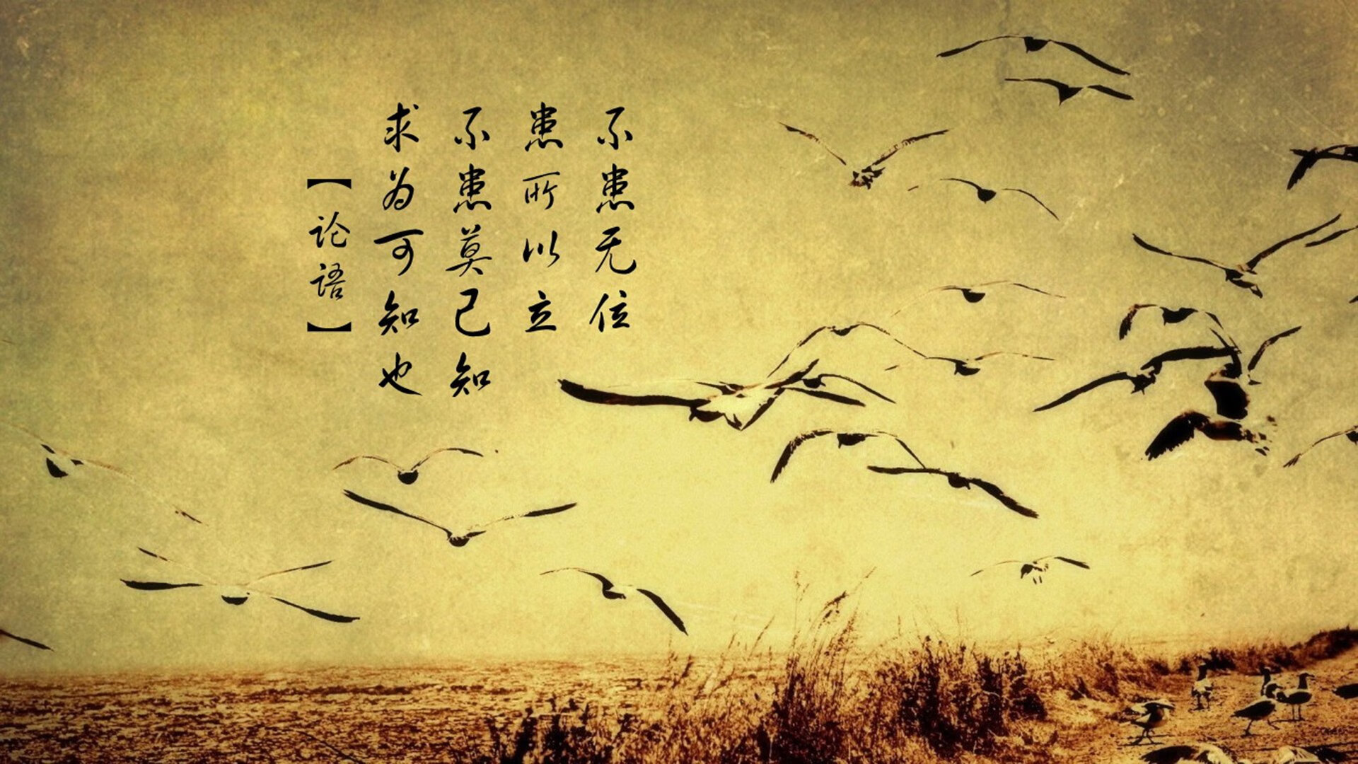 奥运关键战，韩国强势晋级，几内亚的梦想破碎之夜