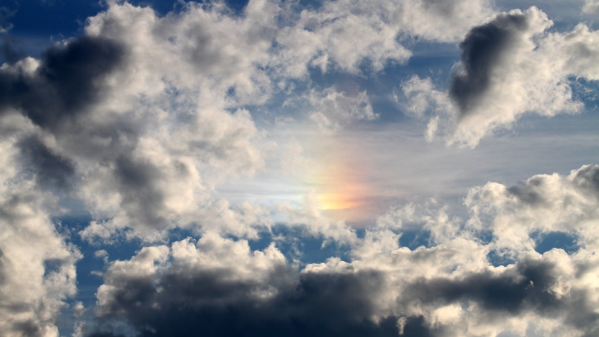 当黄蜂掀起逆转风暴，福克斯如何用一记冷静的三分点亮压力之夜？