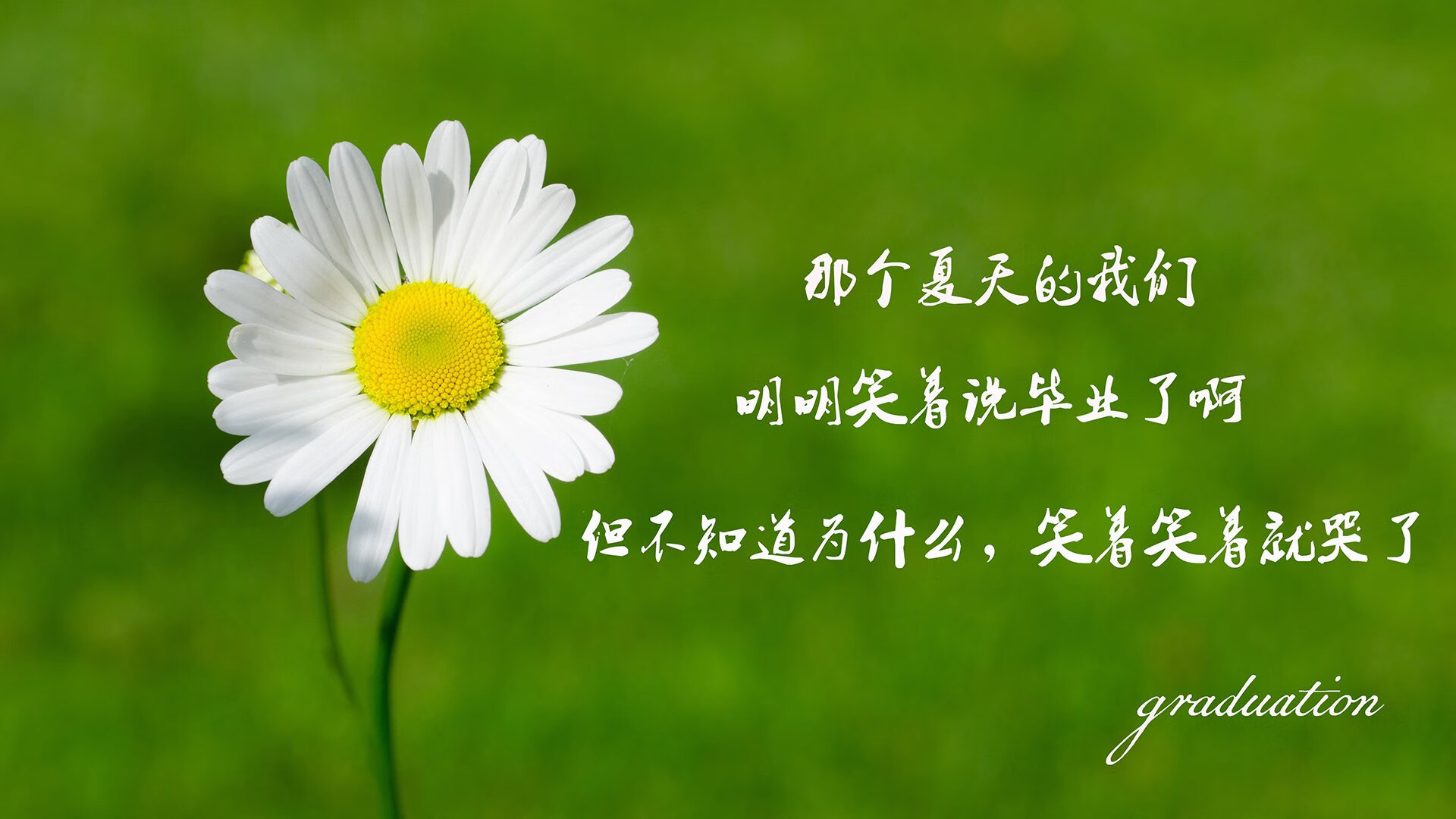沙暴中的铁壁,当高原之鹰撕开战术迷雾,卢卡库的致命一击凿穿G组格局