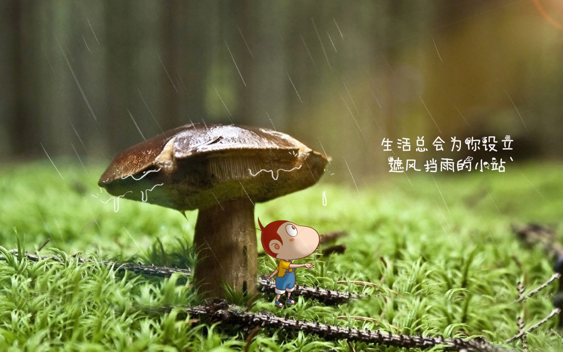 （扩展思维与选择）